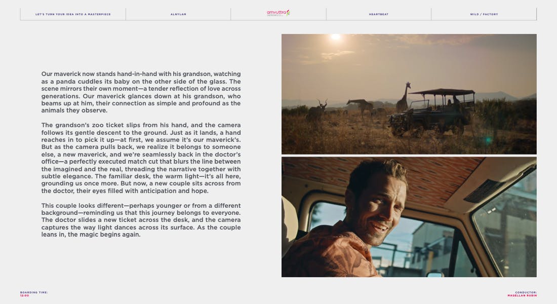 Director portfolio page with cinematic stills showing best director competition at an award winning video production company