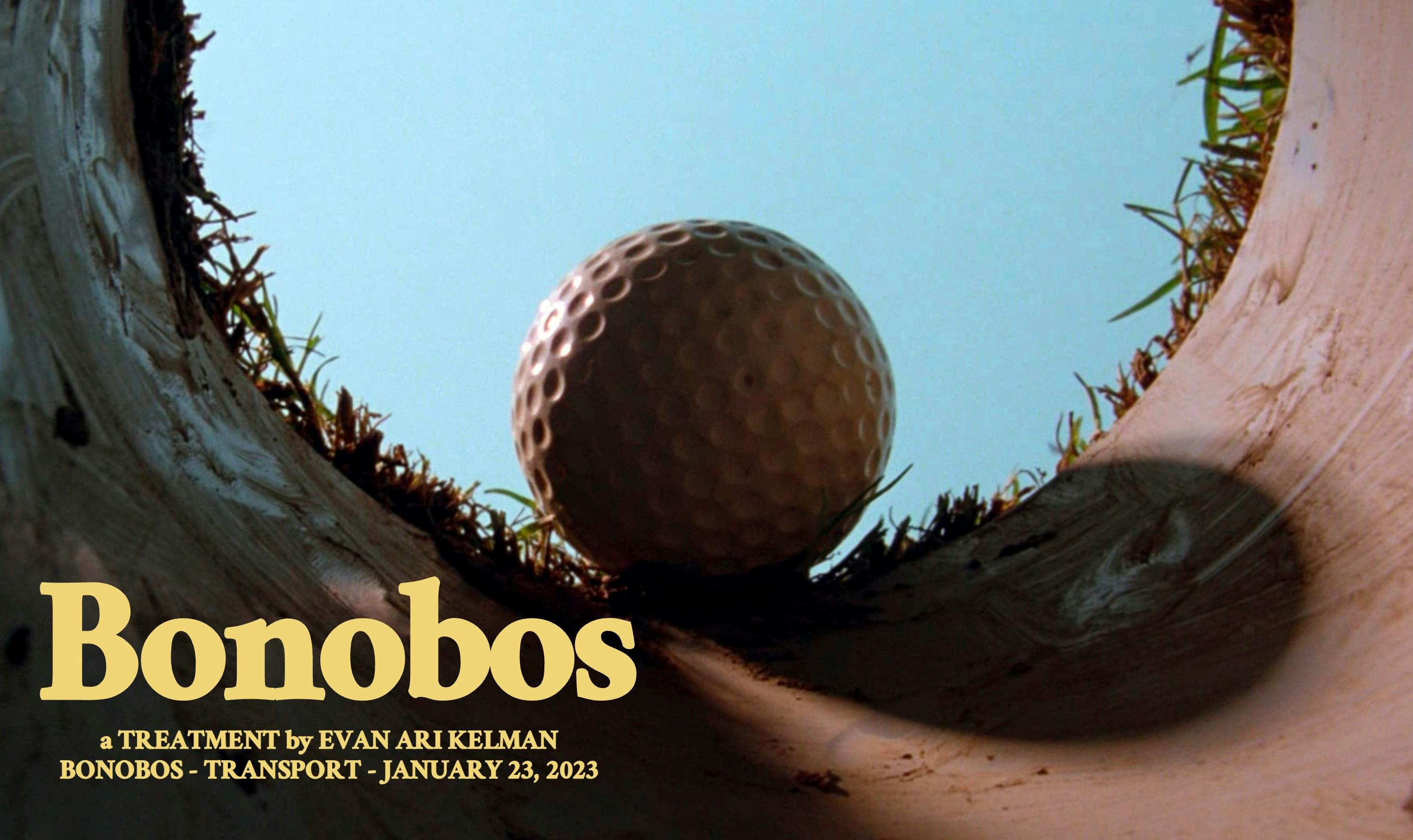 Golf ball inside a hole on a Bonobos TVC production company treatment cover